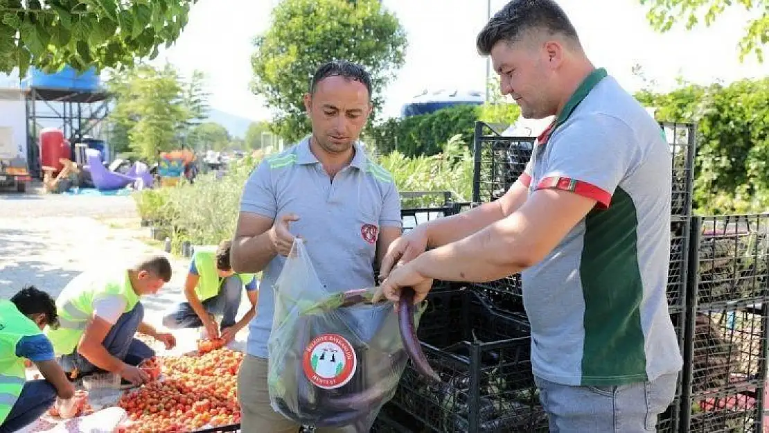 Yerel tohumdan üretilen ürünler, ihtiyaç sahiplerine ulaştırılıyor