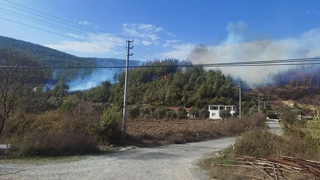 Yerleşim yerine yakın konumda orman yangını