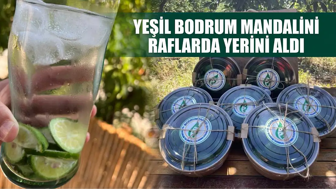 Yeşil Bodrum Mandalini raflarda yerini aldı