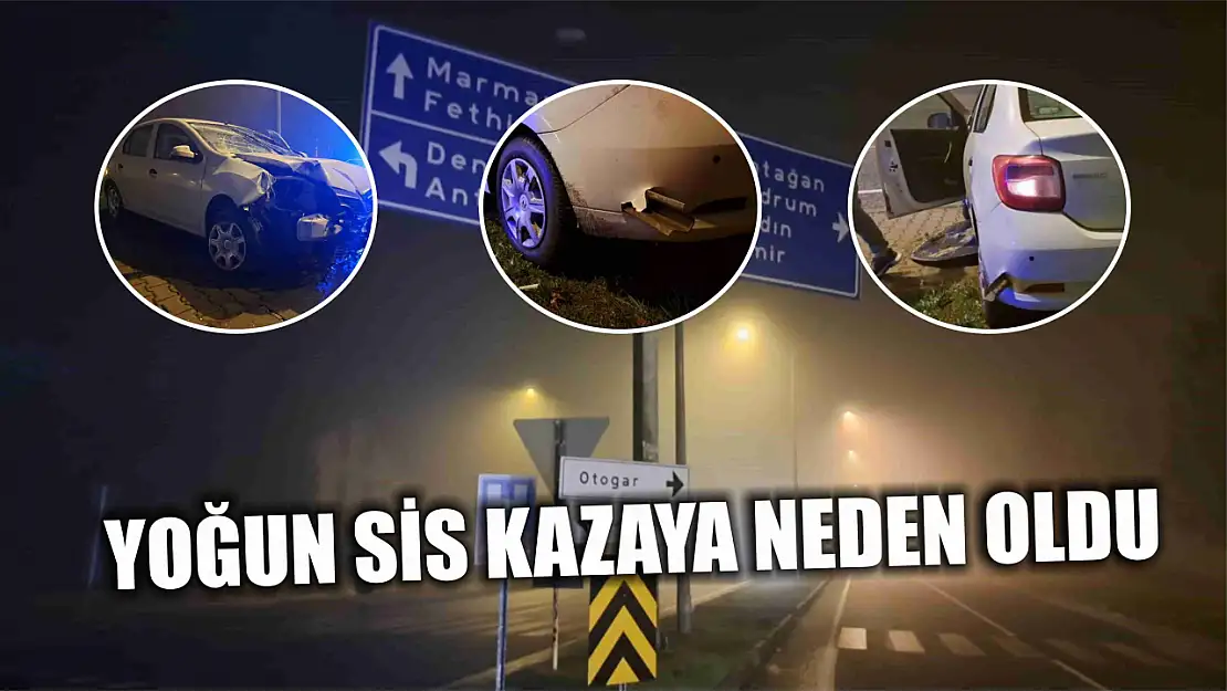 Yoğun sis kazaya neden oldu