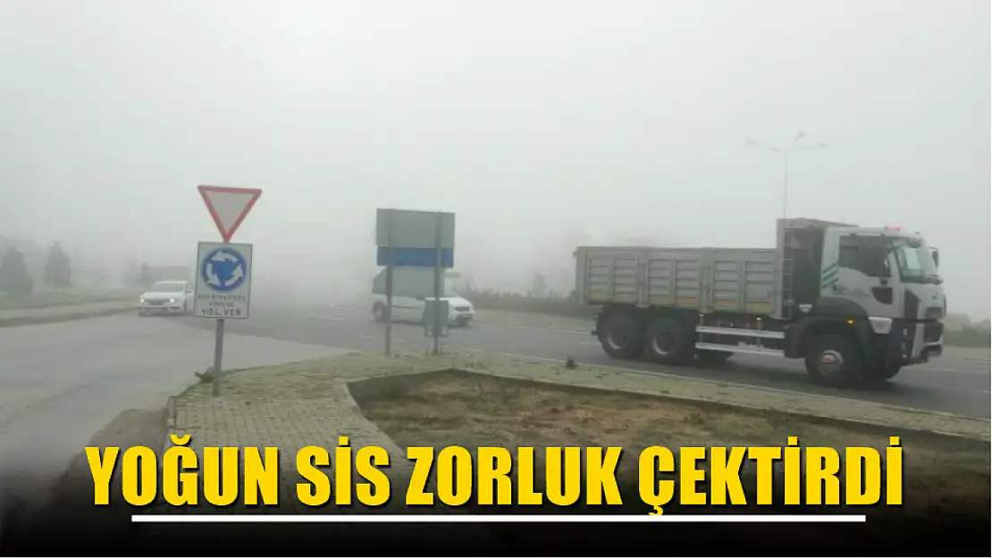 Yoğun sis zorluk çektirdi