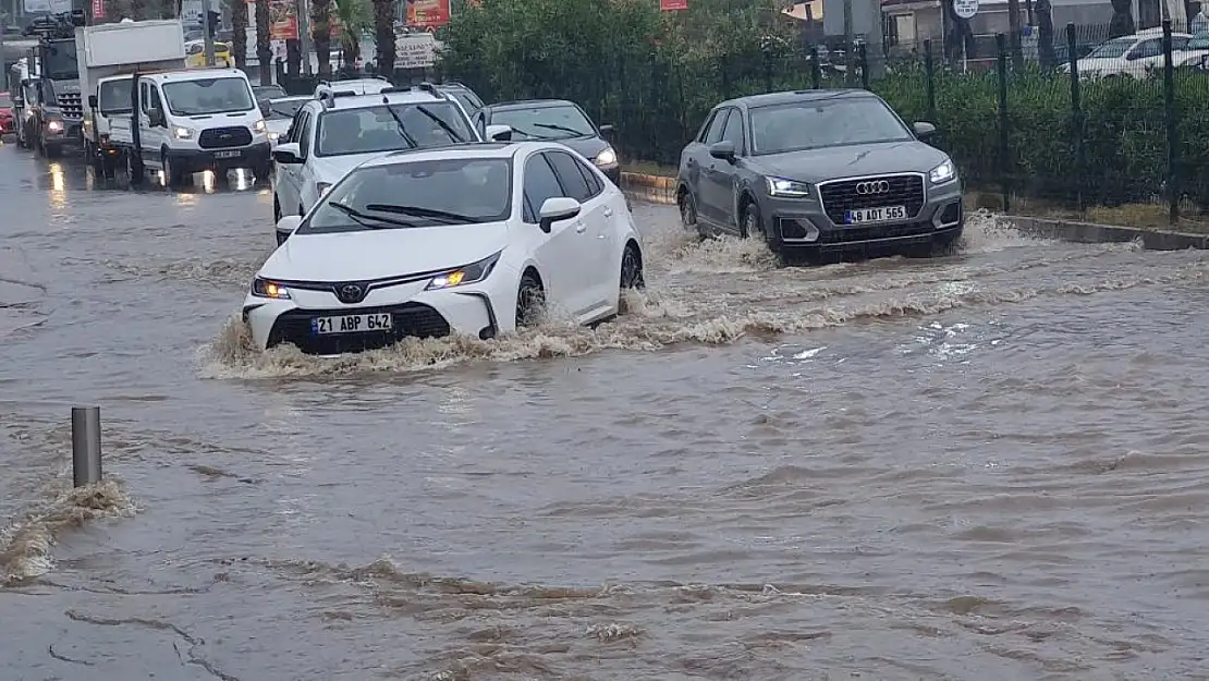 Yoğun yağışlar Kasım bereketi yaşattı