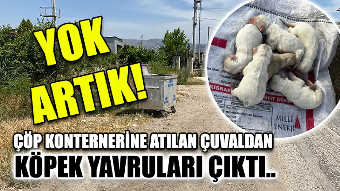 Yok artık! Çöp konternerine atılan çuvaldan köpek yavruları çıktı..