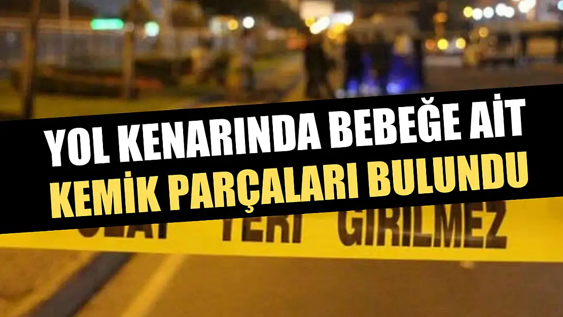 Yol kenarında bebeğe ait kemik parçaları bulundu