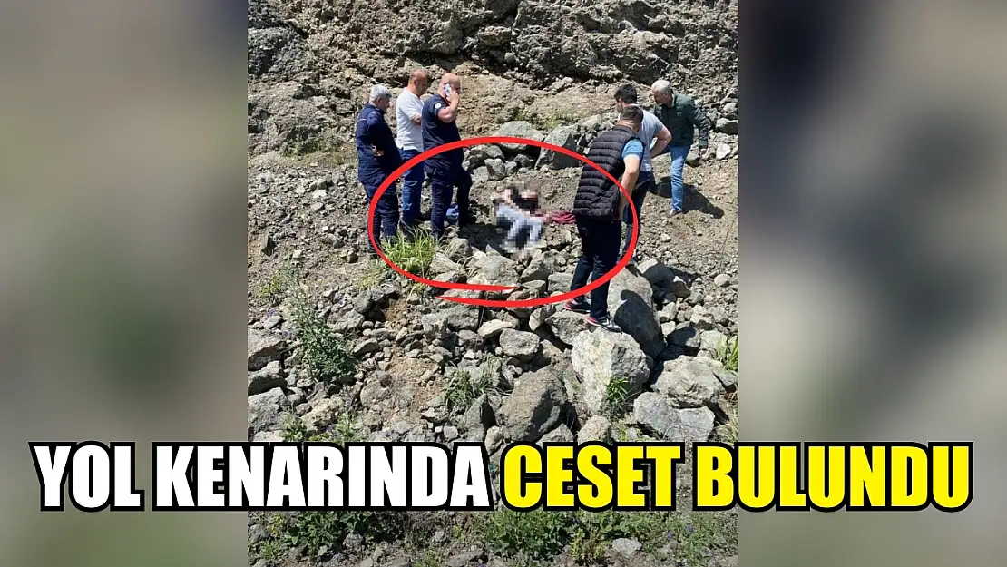 Yol kenarında ceset bulundu