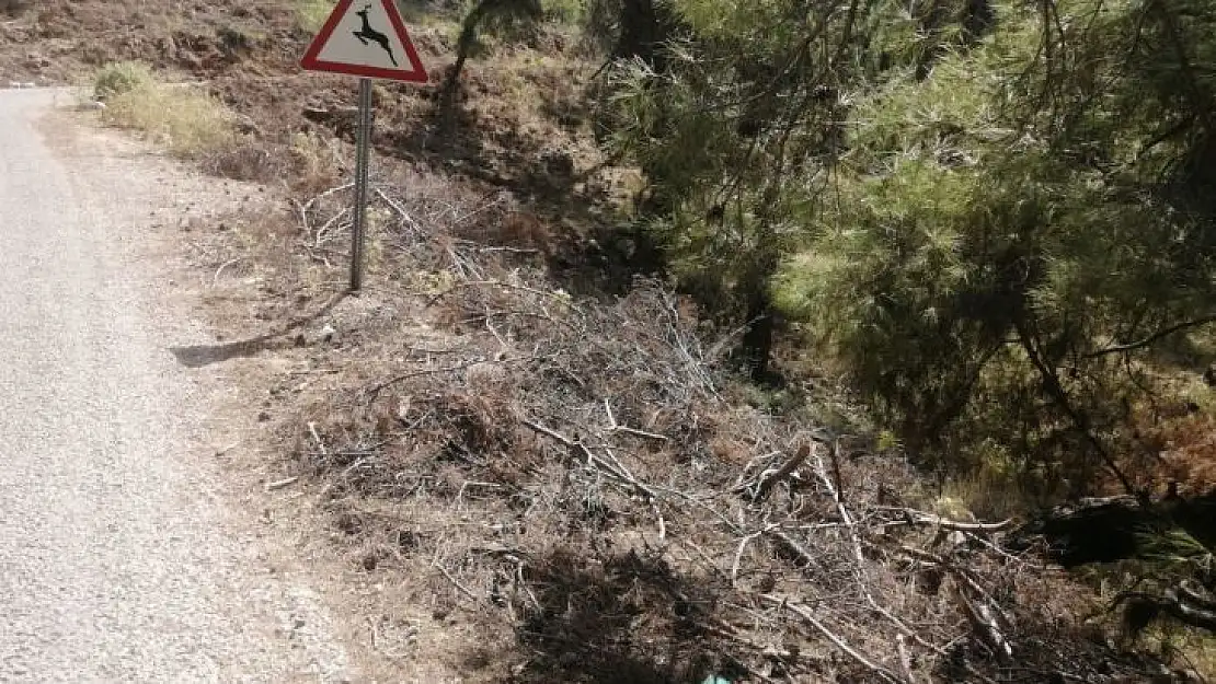 YOL KENARINDAKİ KURUMUŞ AĞAÇ PARÇALARI YANGINA DAVETİYE ÇIKARTIYOR