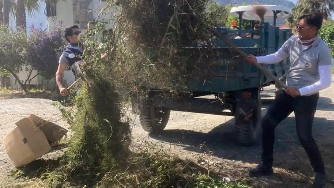 Yol Kenarlarındaki Otlar Temizleniyor