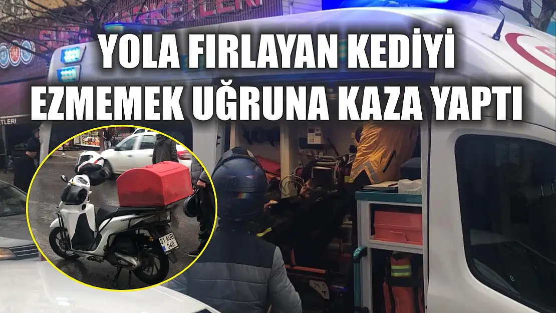 Yola fırlayan kediyi ezmemek uğruna kaza yaptı