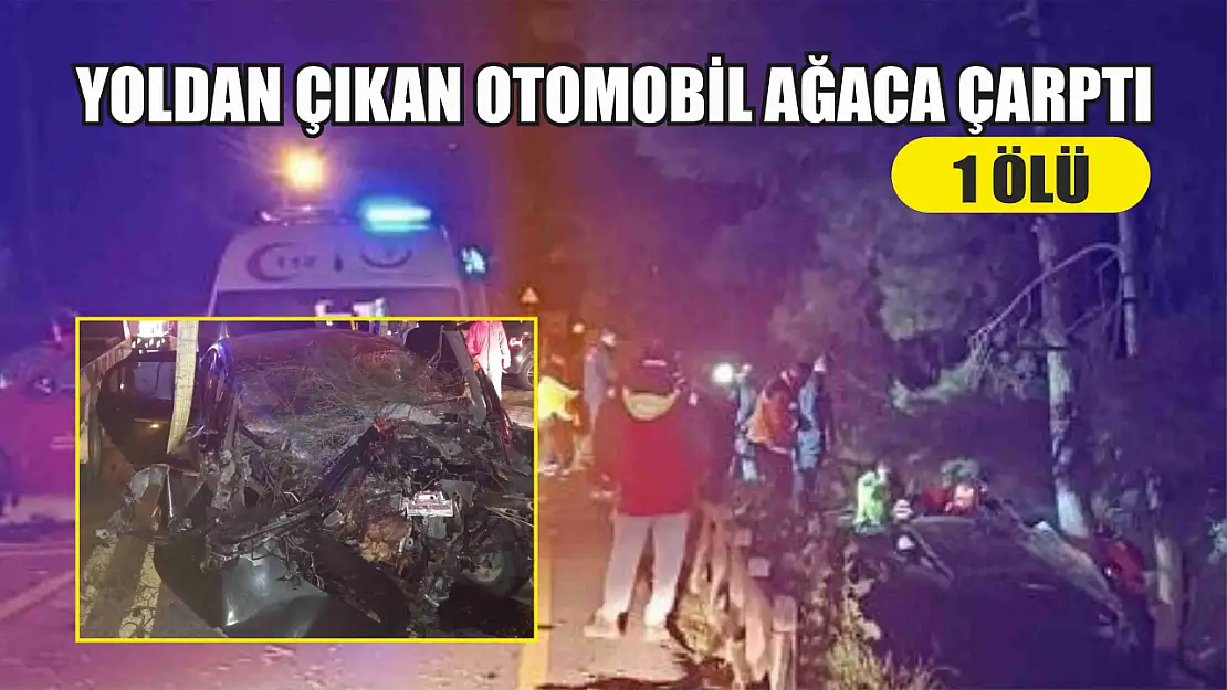 Yoldan çıkan otomobil ağaca çarptı: 1 ölü