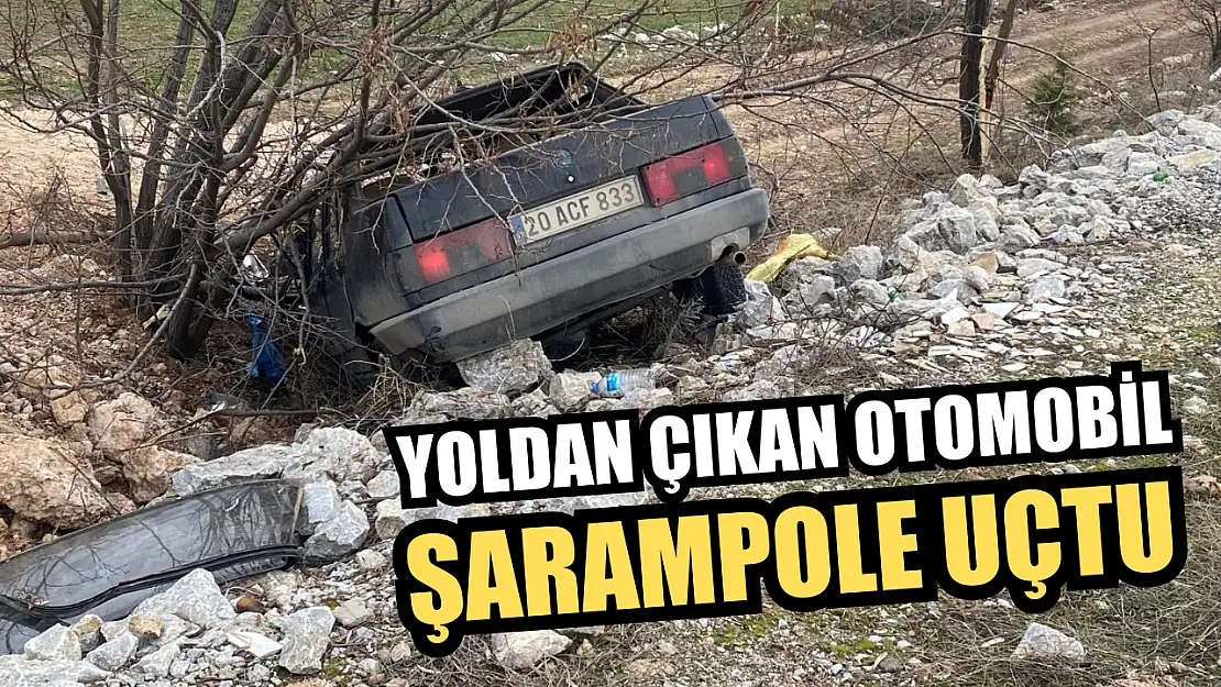 Yoldan çıkan otomobil şarampole uçtu