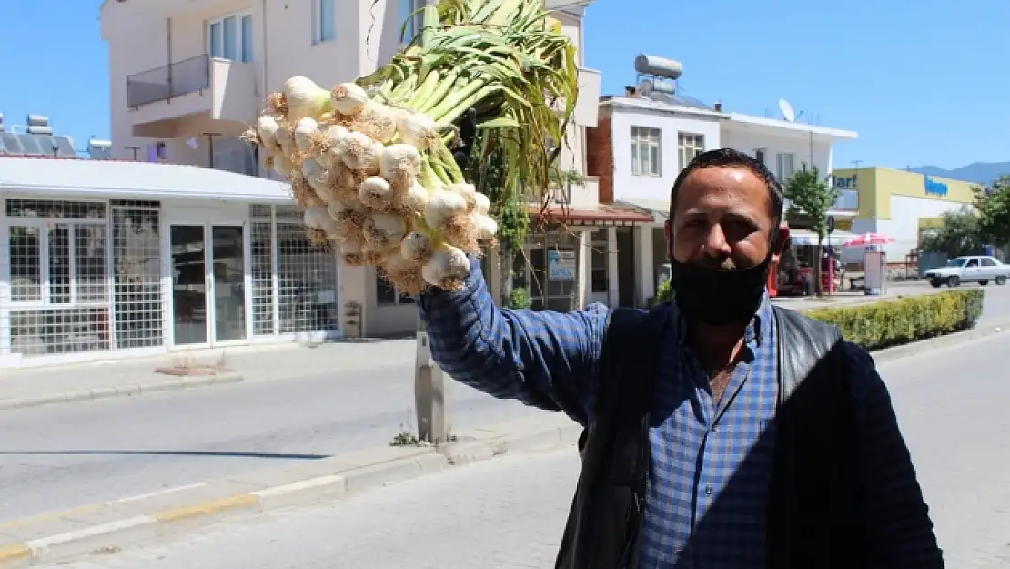 Yollar açılınca sarımsak fiyatları düştü 