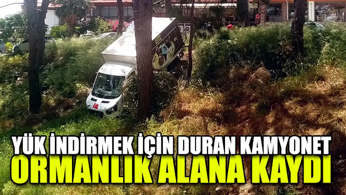 Yük İndirmek İçin Duran Kamyonet Ormanlık Alana Kaydı