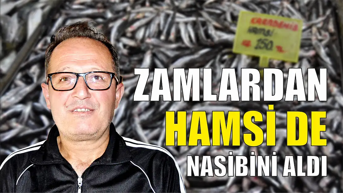 Zamlardan hamsi de nasibini aldı