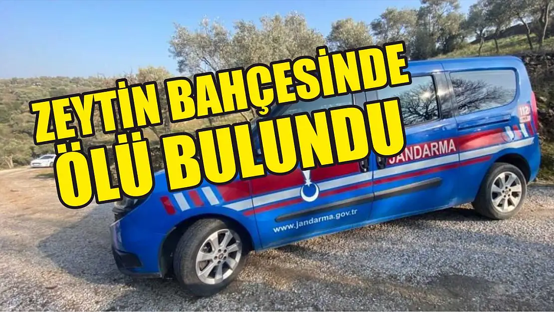 Zeytin bahçesinde ölü bulundu