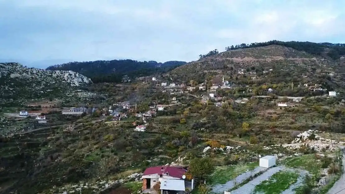 Zeytinköy'ün karası yeşile büründü