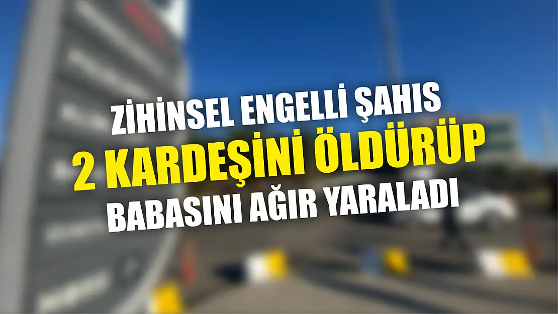 Zihinsel engelli şahıs 2 kardeşini öldürüp babasını ağır yaraladı