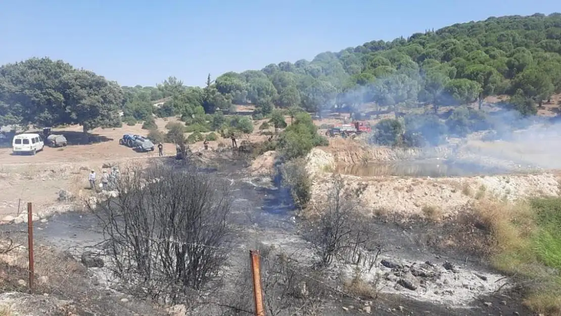 Zirai alanda çıkan orman yangını söndürüldü