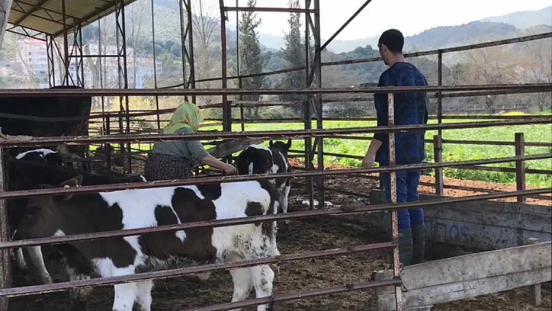 Zorunlu Aşı Yaptırmayanlara İdari Para Cezası Uygulanacak