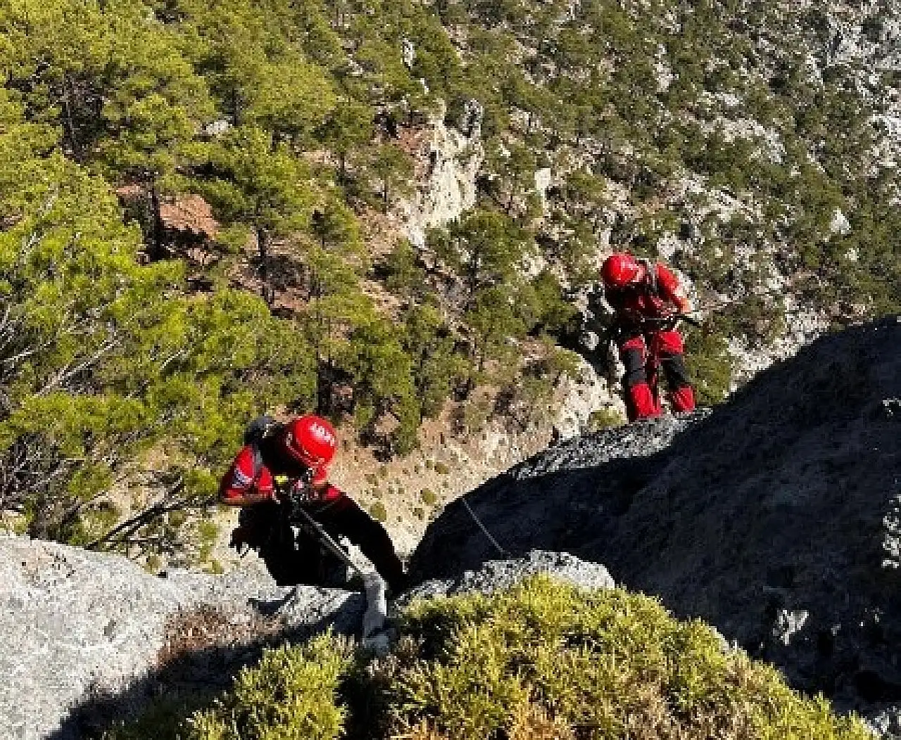 Fethiye'de uçurumda mahsur kalan kedi kurtarıldı