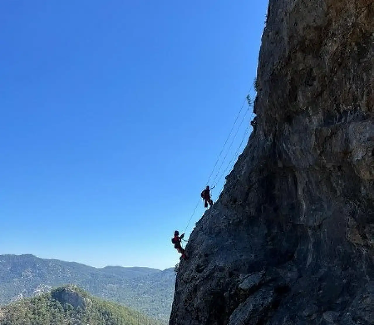 Fethiye'de uçurumda mahsur kalan kedi kurtarıldı