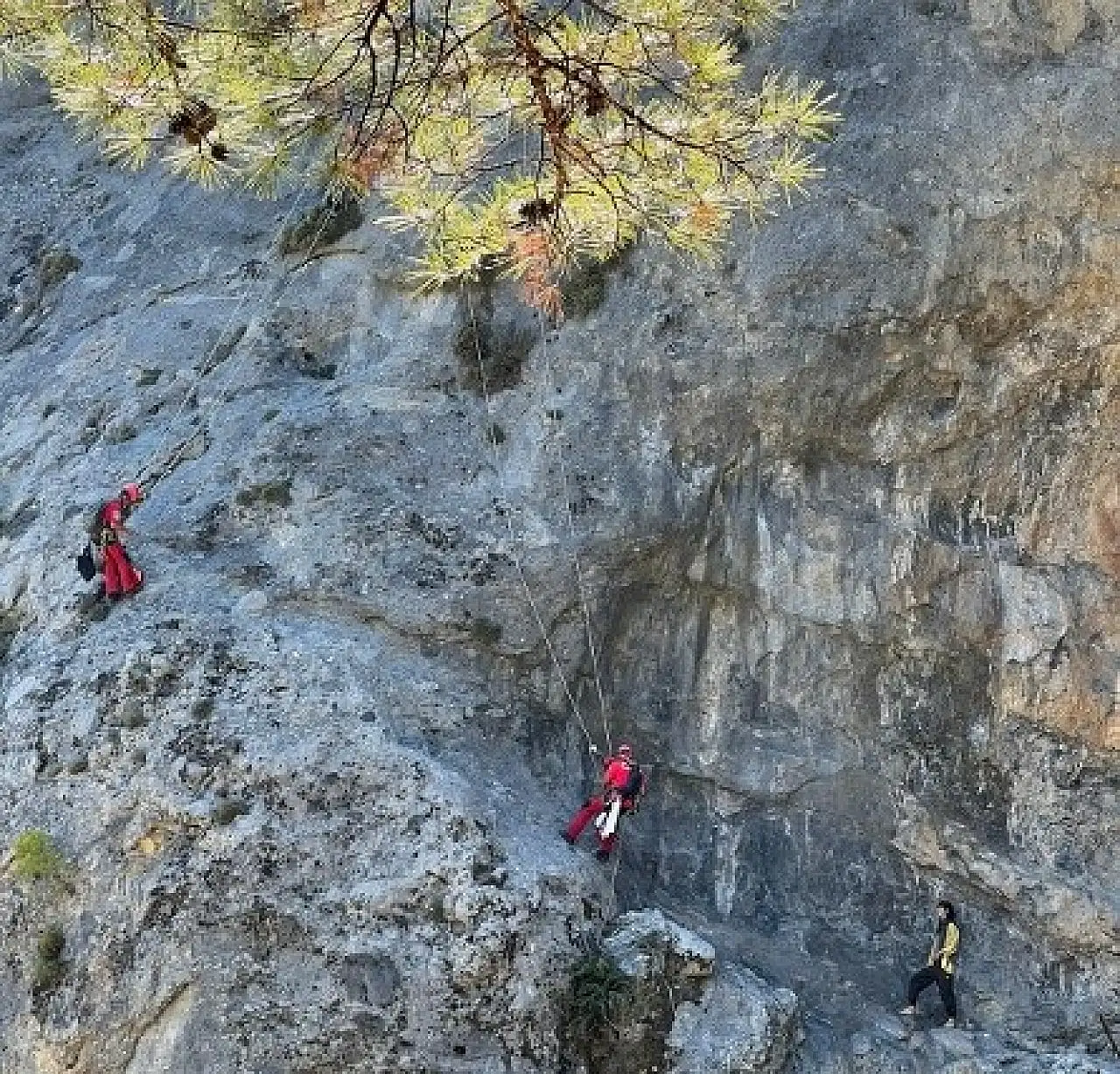 Fethiye'de uçurumda mahsur kalan kedi kurtarıldı