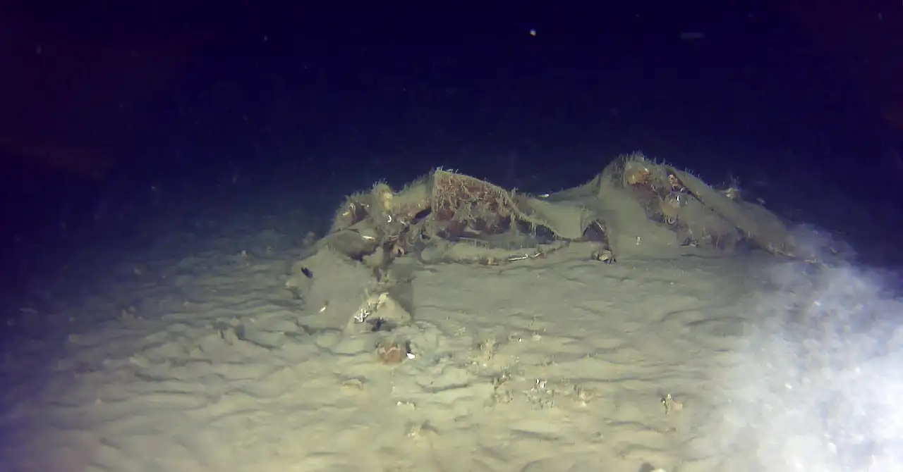 Marmara Denizi'ne 50 yıl önce düşen uçağın yeni parçaları bulundu