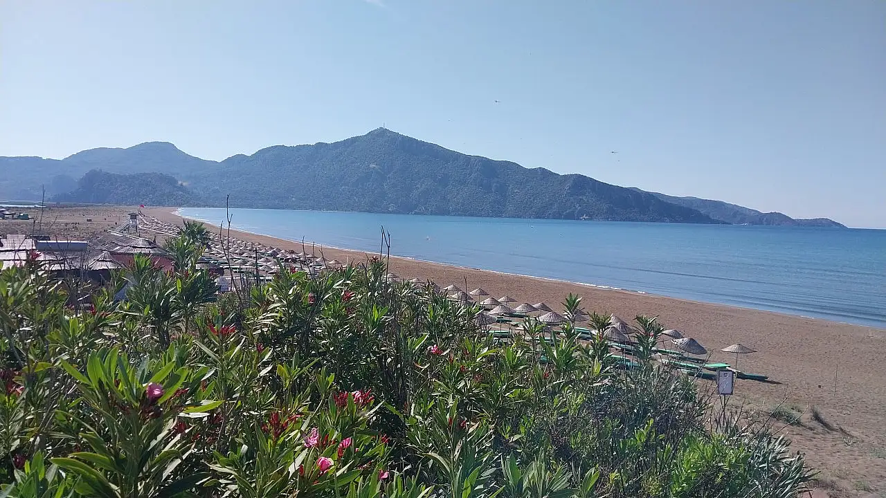 Muğla'da İztuzu Plajı'ndaki caretta caretta yuva sayısı 10'a ulaştı