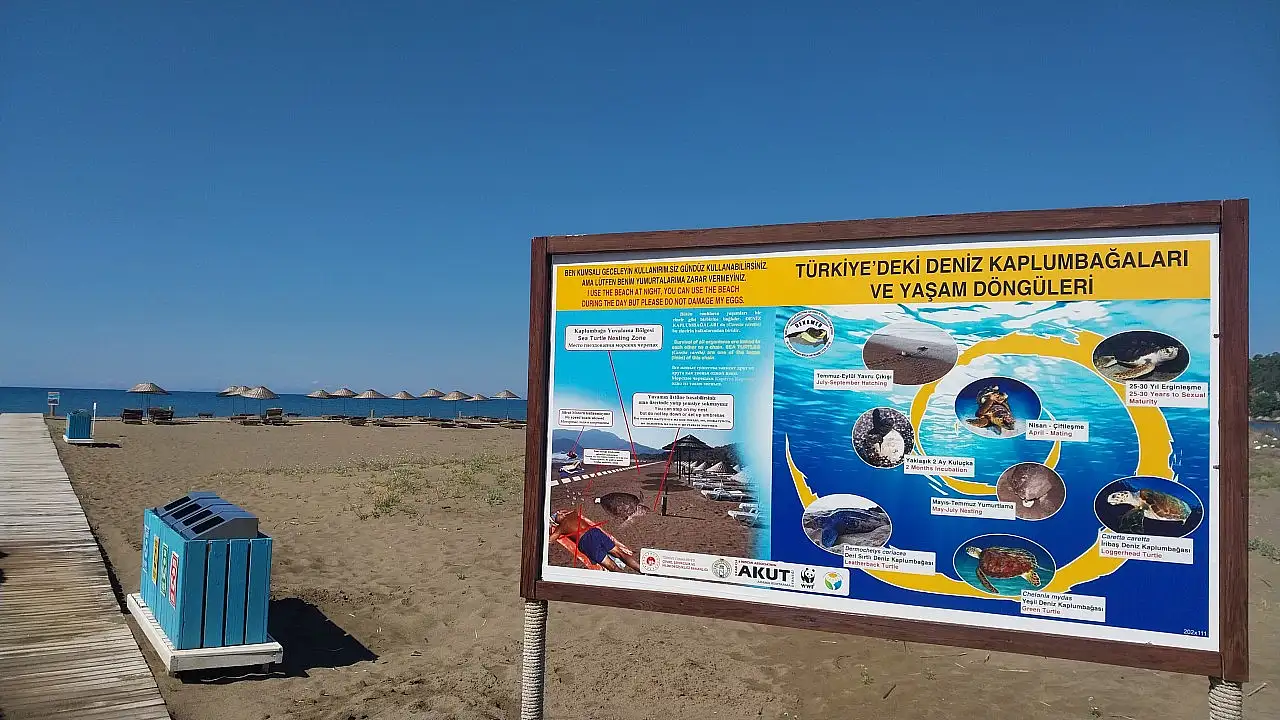 Muğla'da İztuzu Plajı'ndaki caretta caretta yuva sayısı 10'a ulaştı