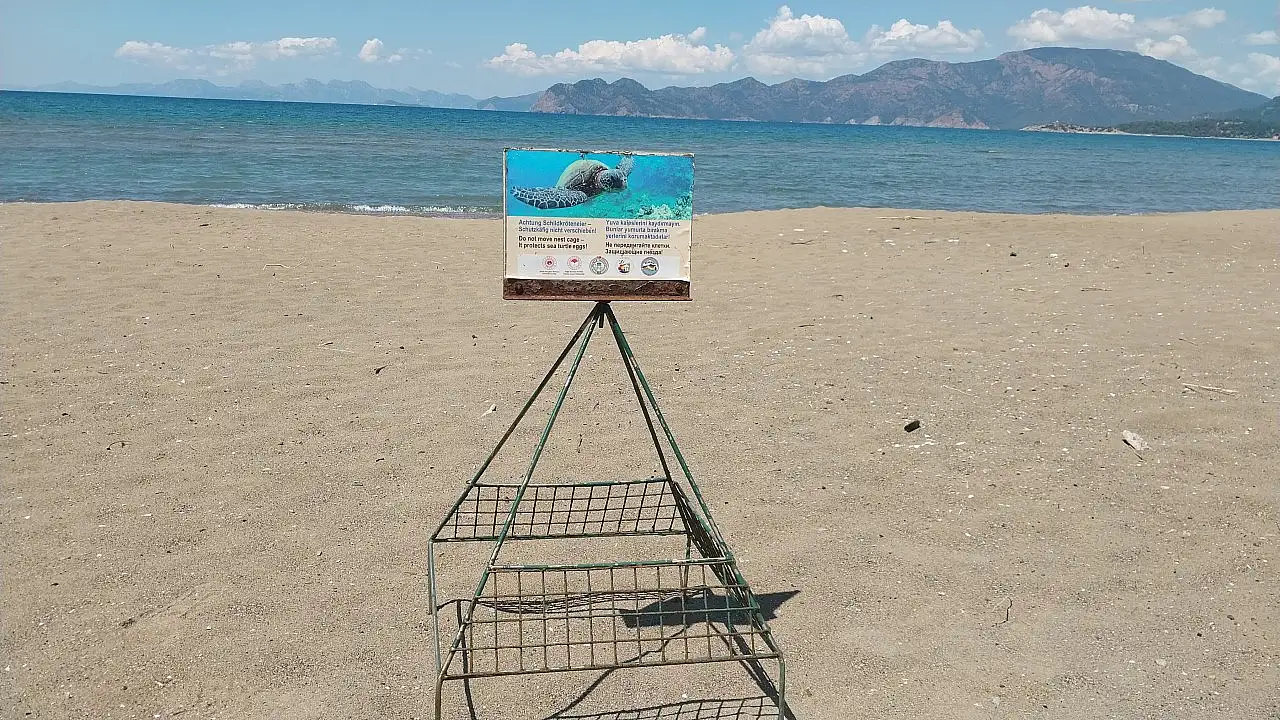 Muğla'da İztuzu Plajı'ndaki caretta caretta yuva sayısı 10'a ulaştı