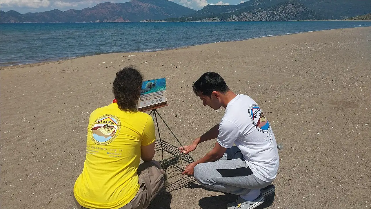 Muğla'da İztuzu Plajı'ndaki caretta caretta yuva sayısı 10'a ulaştı