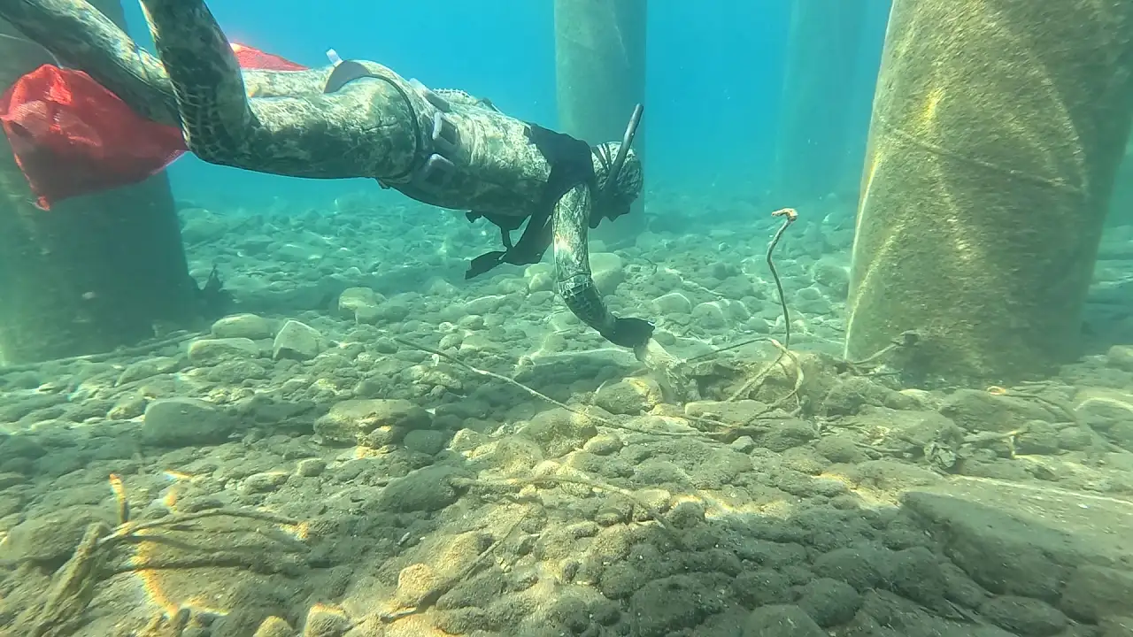 Bodrum'da dalgıçlar denizden 241 kilogram atık çıkardı