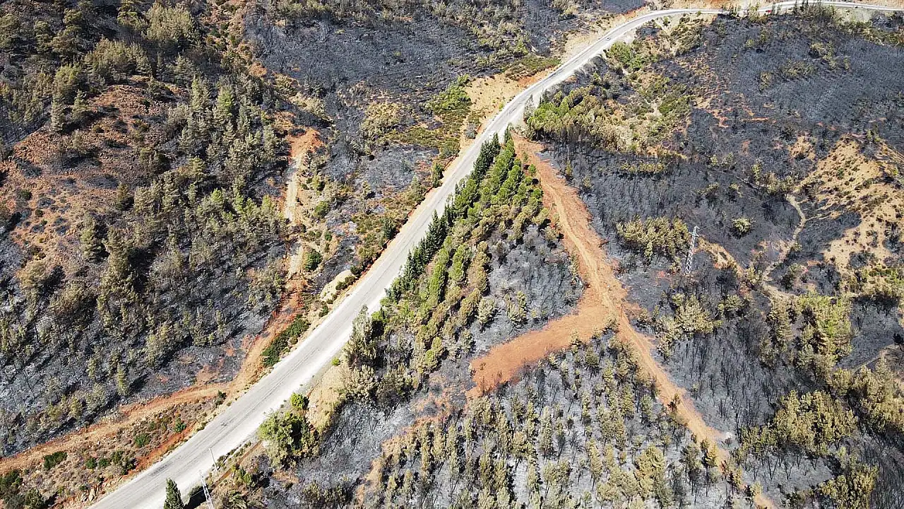 Köyceğiz'de yangından zarar gören alanlar havadan görüntülendi