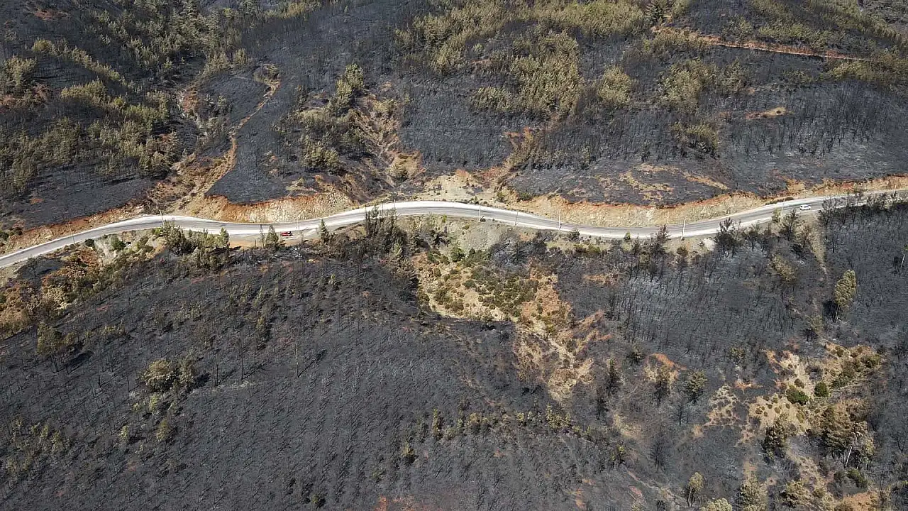 Köyceğiz'de yangından zarar gören alanlar havadan görüntülendi
