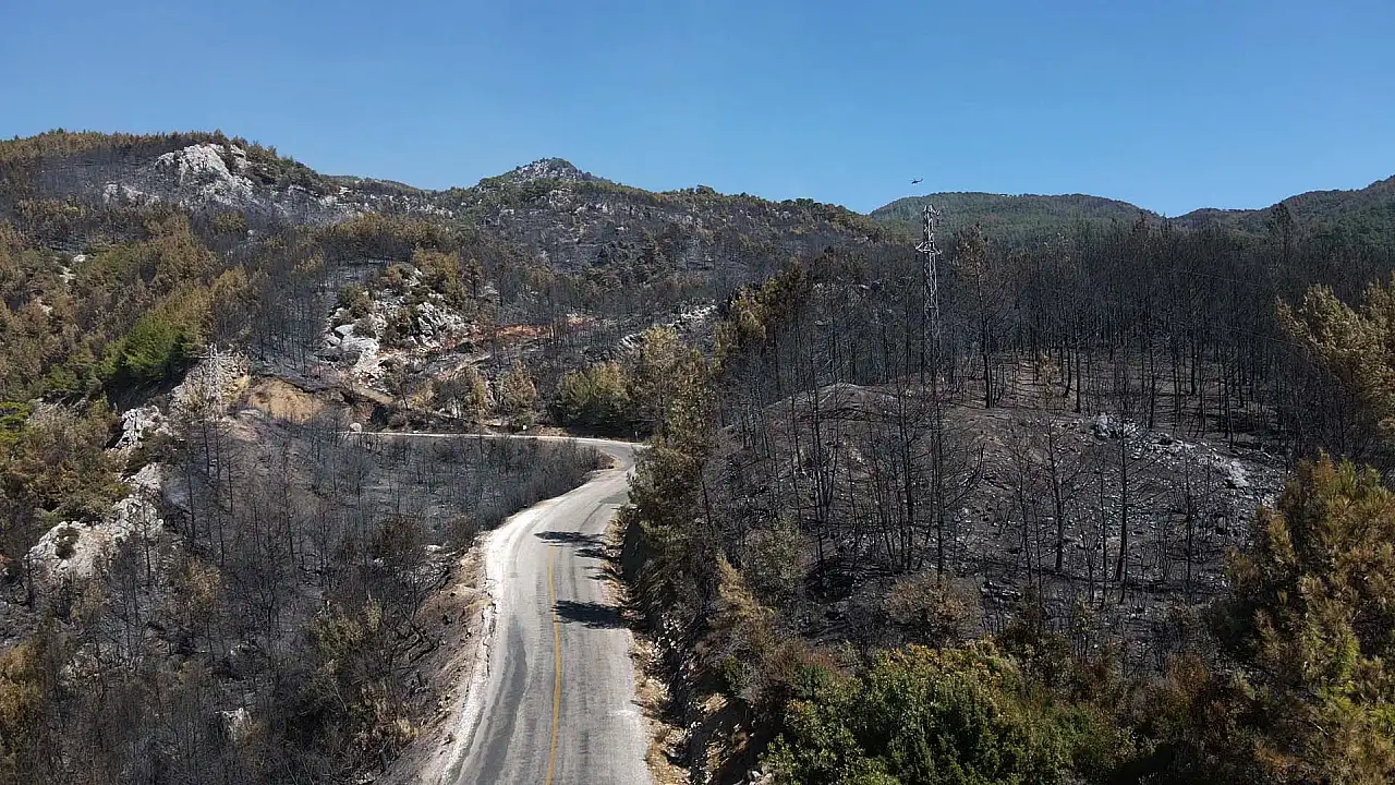 Köyceğiz'de yangından zarar gören alanlar havadan görüntülendi
