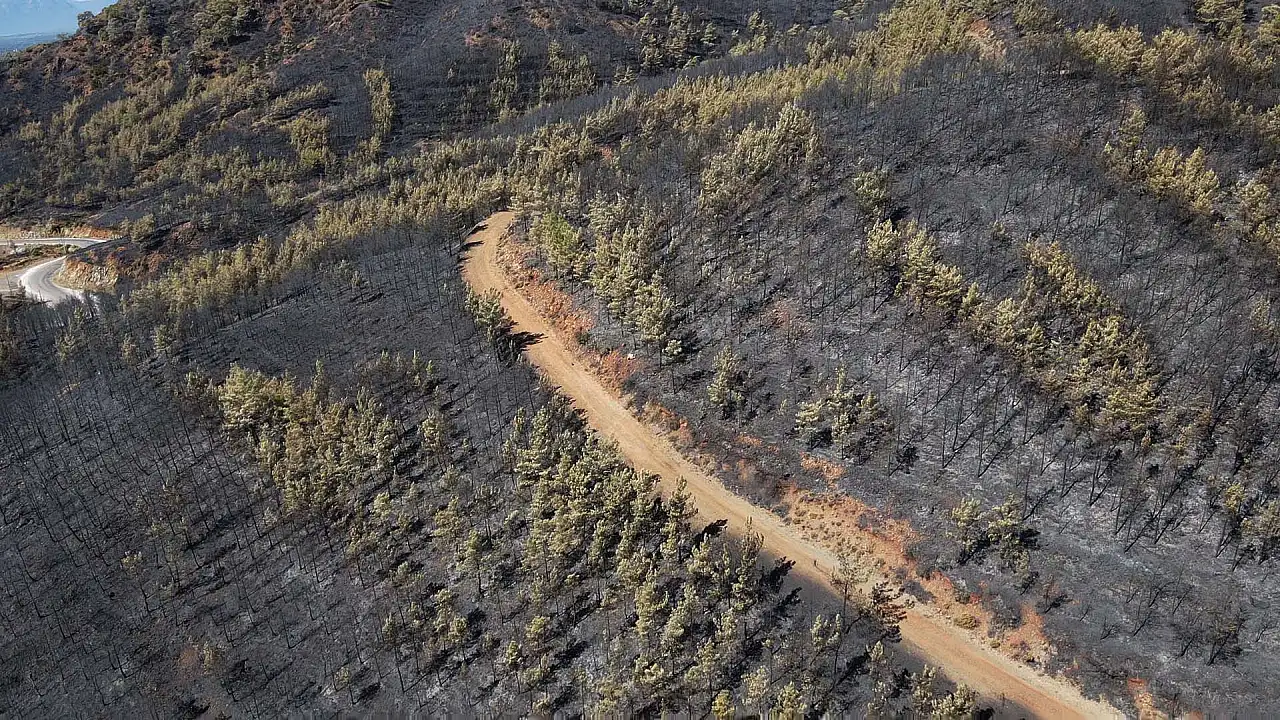 Köyceğiz'de yangından zarar gören alanlar havadan görüntülendi