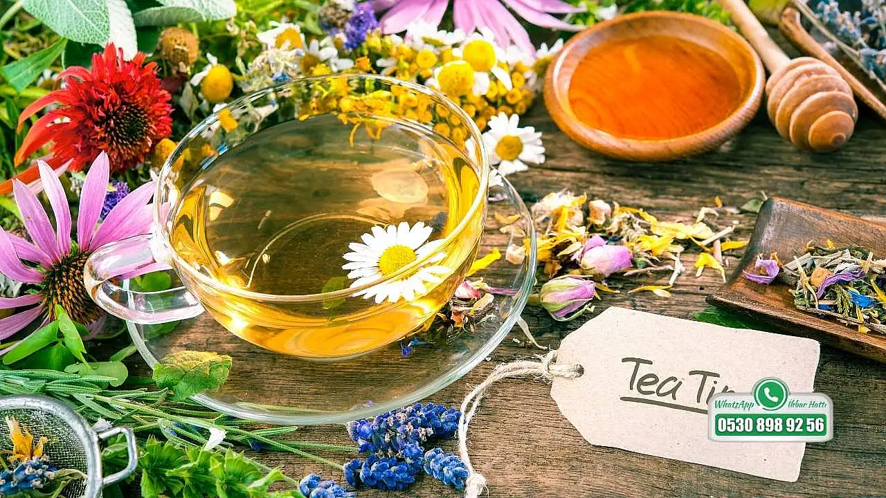 Uzmanı uyardı: Bitki çaylarını dozunda kullanın