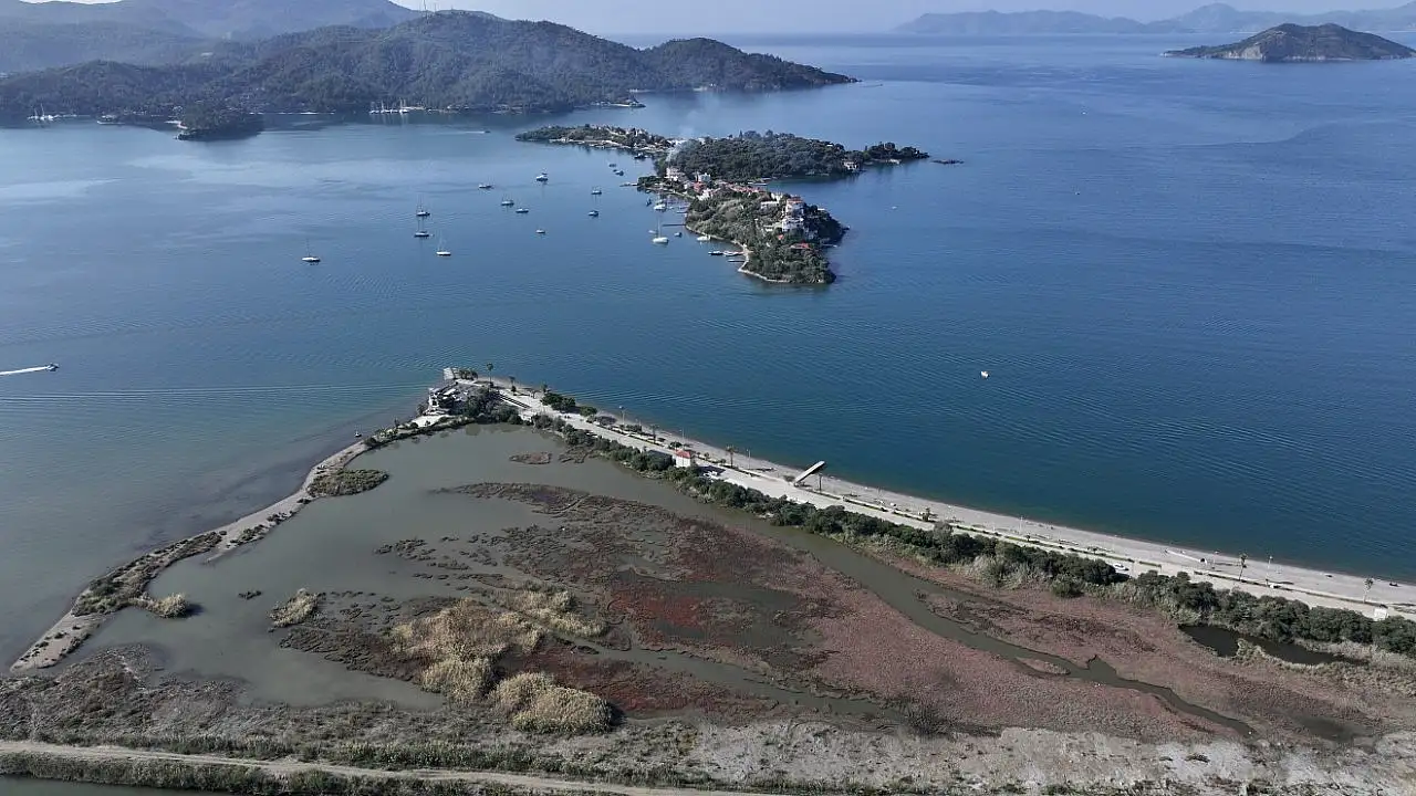 Fethiye'de Kuş Cenneti'nin sakinleri, fotoğrafçılara renkli kareler sunuyor