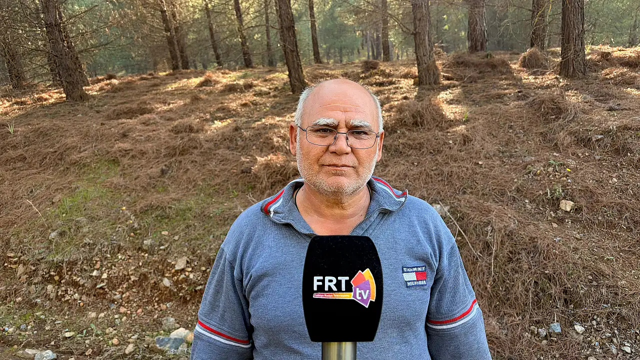 Seydikemer Çobanisa'da Çıntar Bereketi