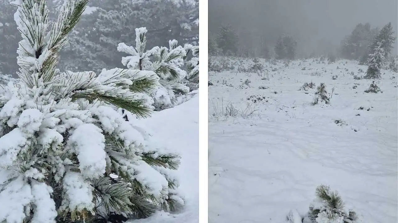 Muğla'ya mevsimin ilk karı yağdı