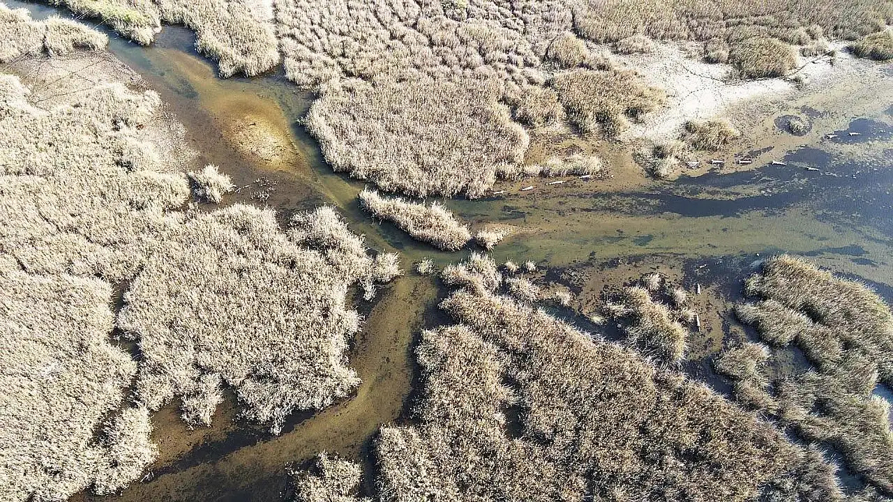 Muğla'da kuraklığın izleri siliniyor: Bafa Gölü'nde yaşam geri döndü