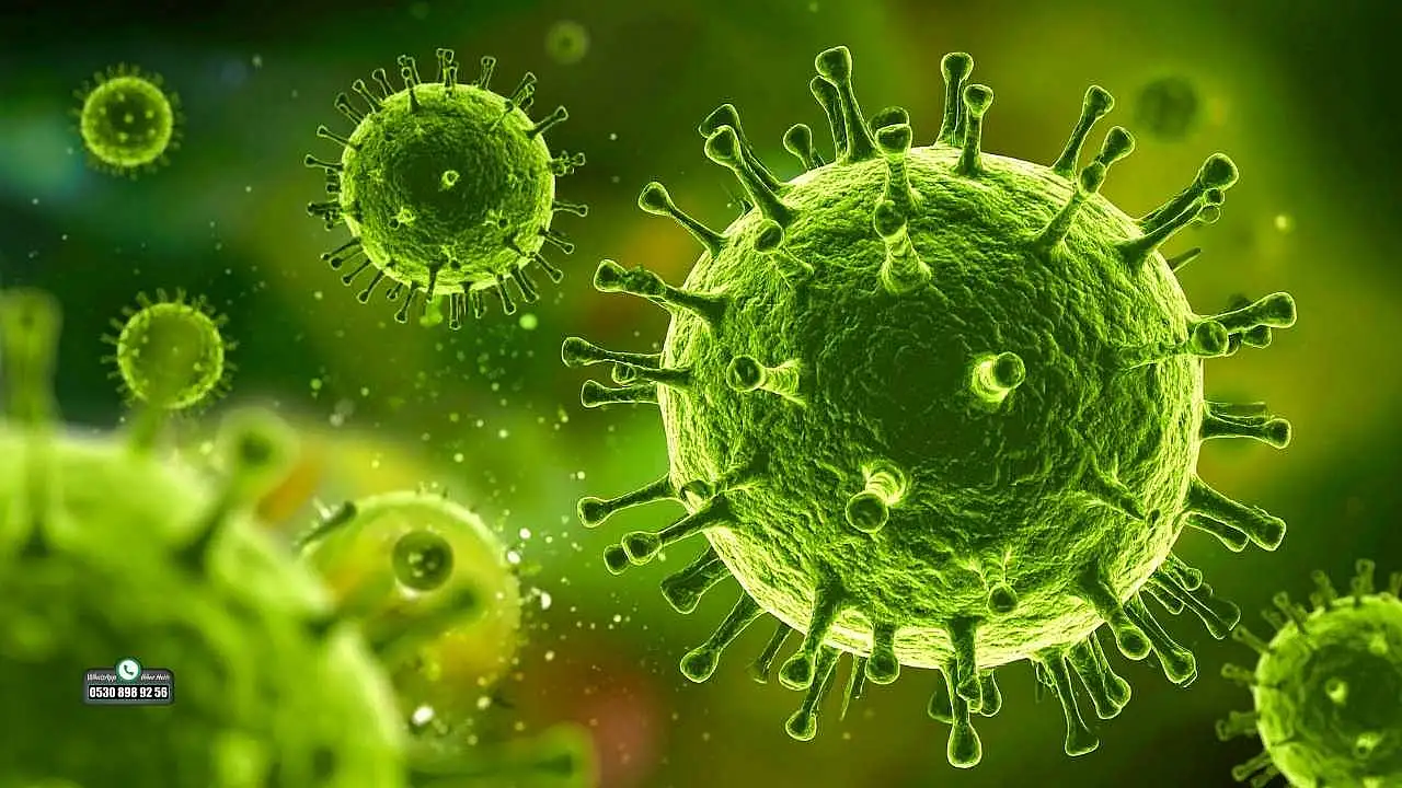 Mutasyona uğrayan grip virüsleri, risk gruplarında ciddi komplikasyonlara yol açabilir