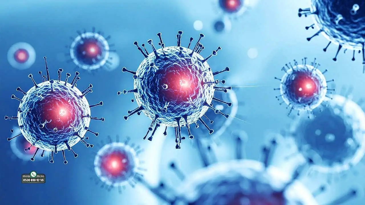 Mutasyona uğrayan grip virüsleri, risk gruplarında ciddi komplikasyonlara yol açabilir