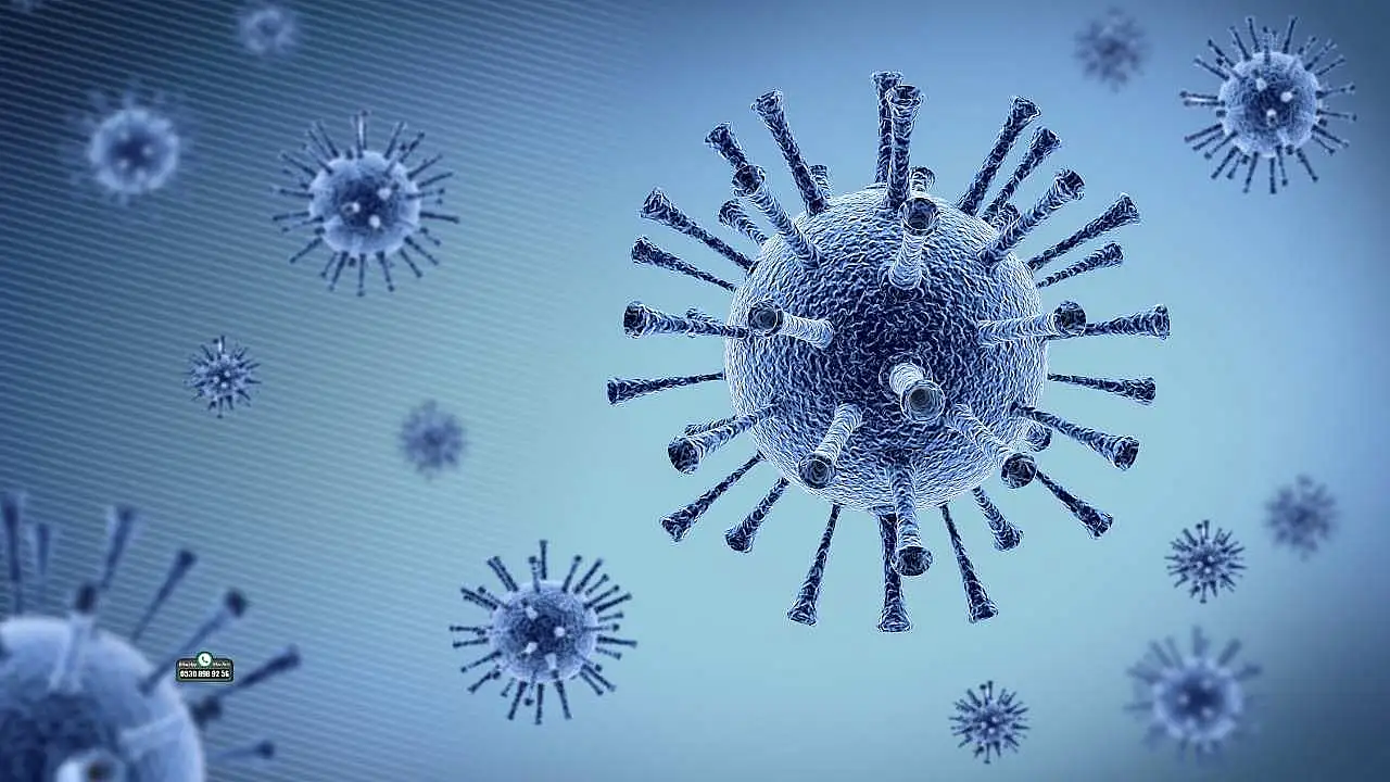 Uzmanından uyarı: Yaygın olan virüs influenza