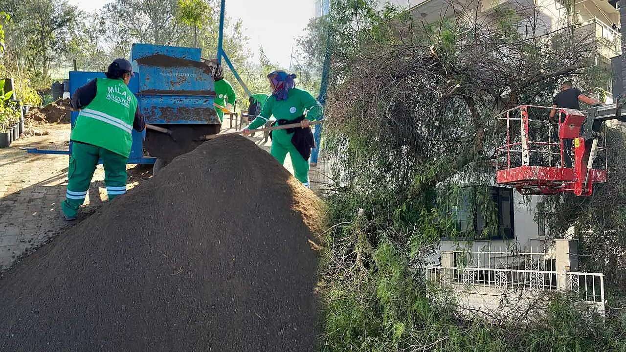 Daha yeşil bir Milas için