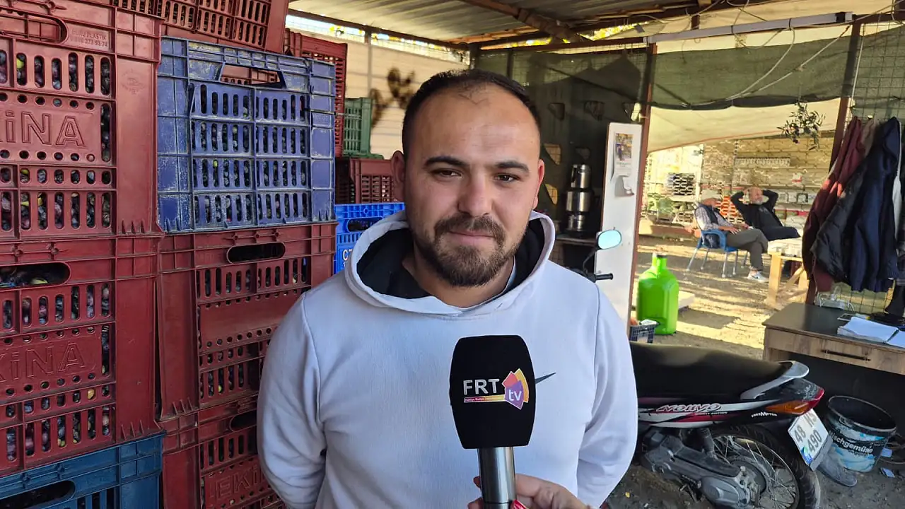 Fethiye'de zeytin alımı sezonu sona yaklaşıyor