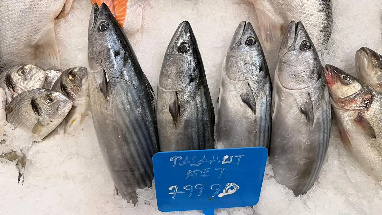 Fethiye'de palamut fiyatı cep yakıyor: Tezgahta 799,90 TL