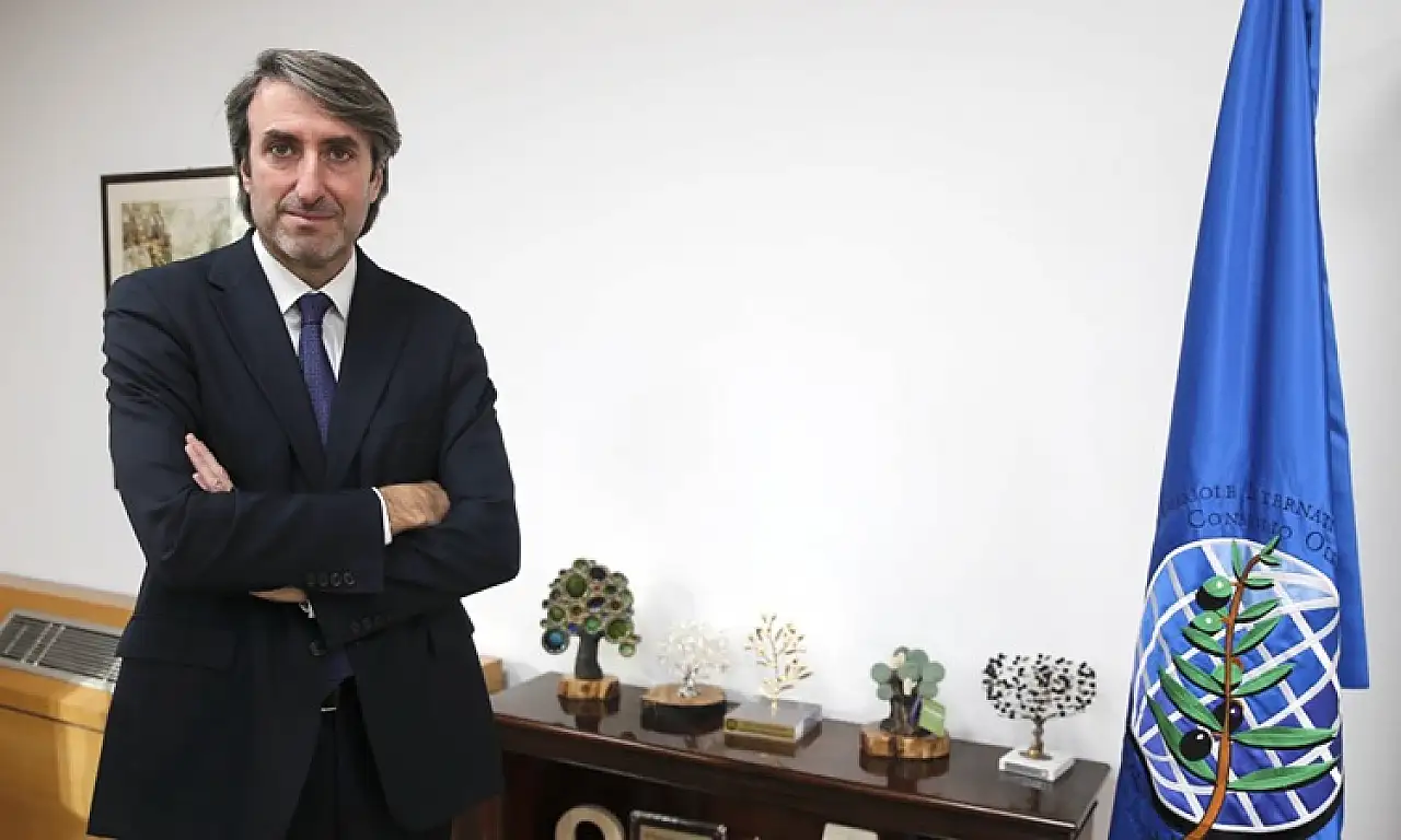 Türkiye, zeytin ve zeytinyağı üretiminde dünyada başaktör oldu