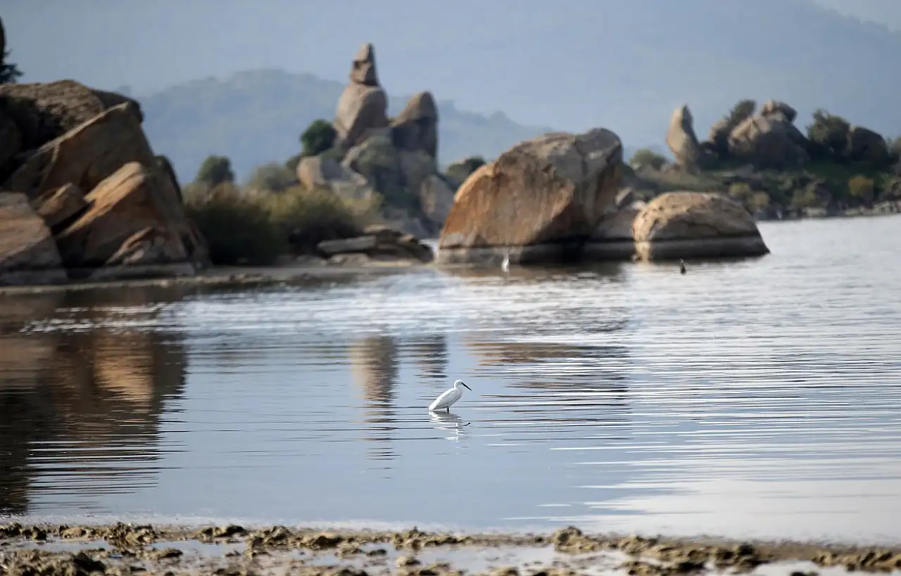 Muğla'da kuraklığın izleri siliniyor: Bafa Gölü'nde yaşam geri döndü