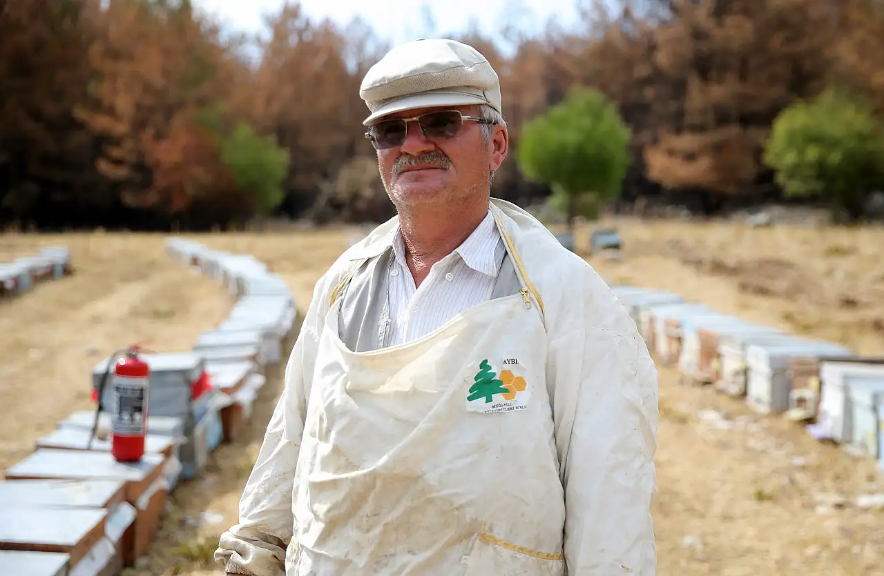 Muğla'daki orman yangınında arıcı 300 kovanını cansiparane mücadeleyle kurtarmış