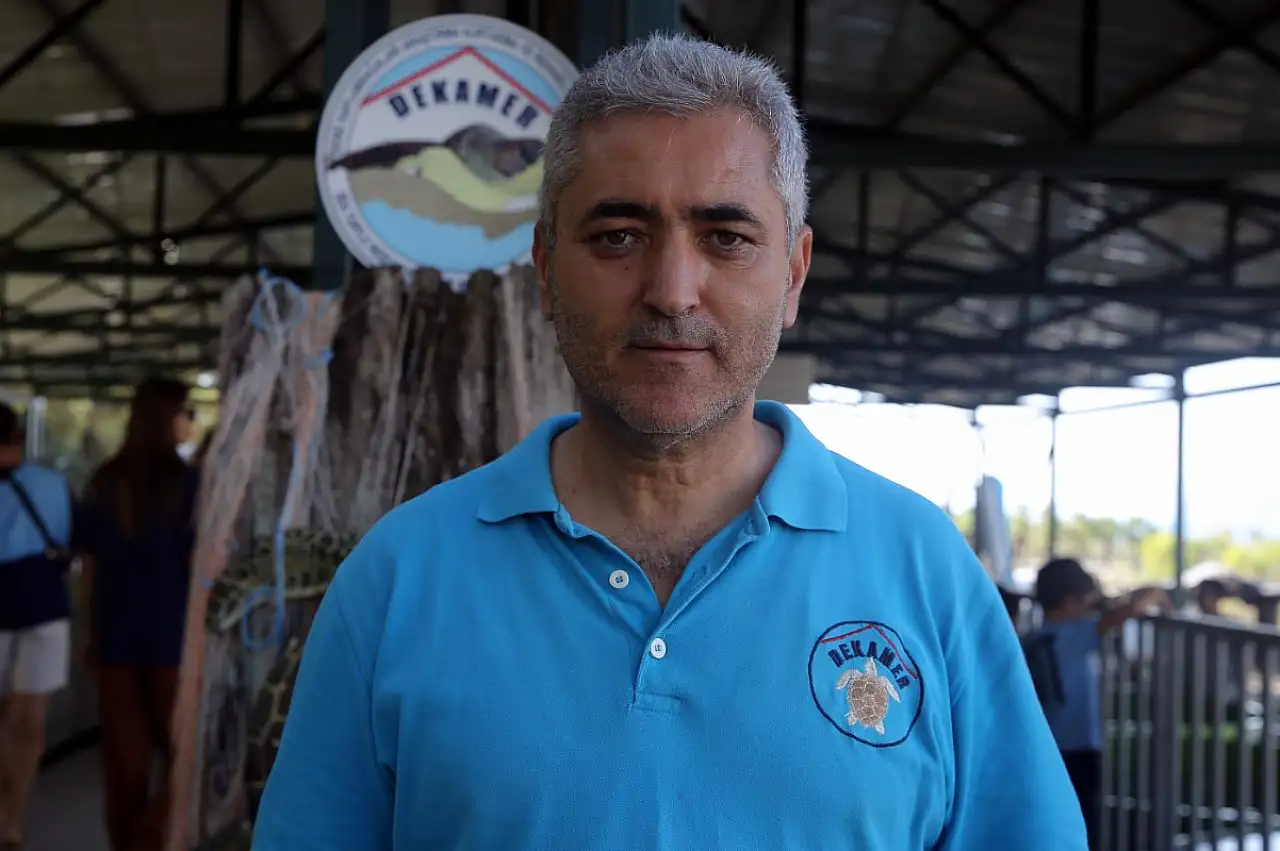 Küresel ısınma caretta caretta yavrularının cinsiyetini de etkiledi